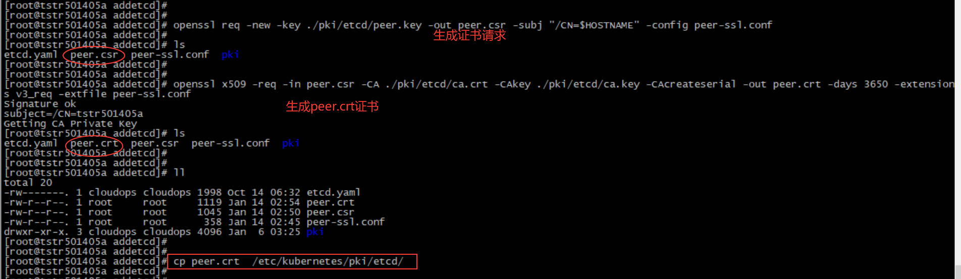 extended-etcd-cluster-node-with-certificate